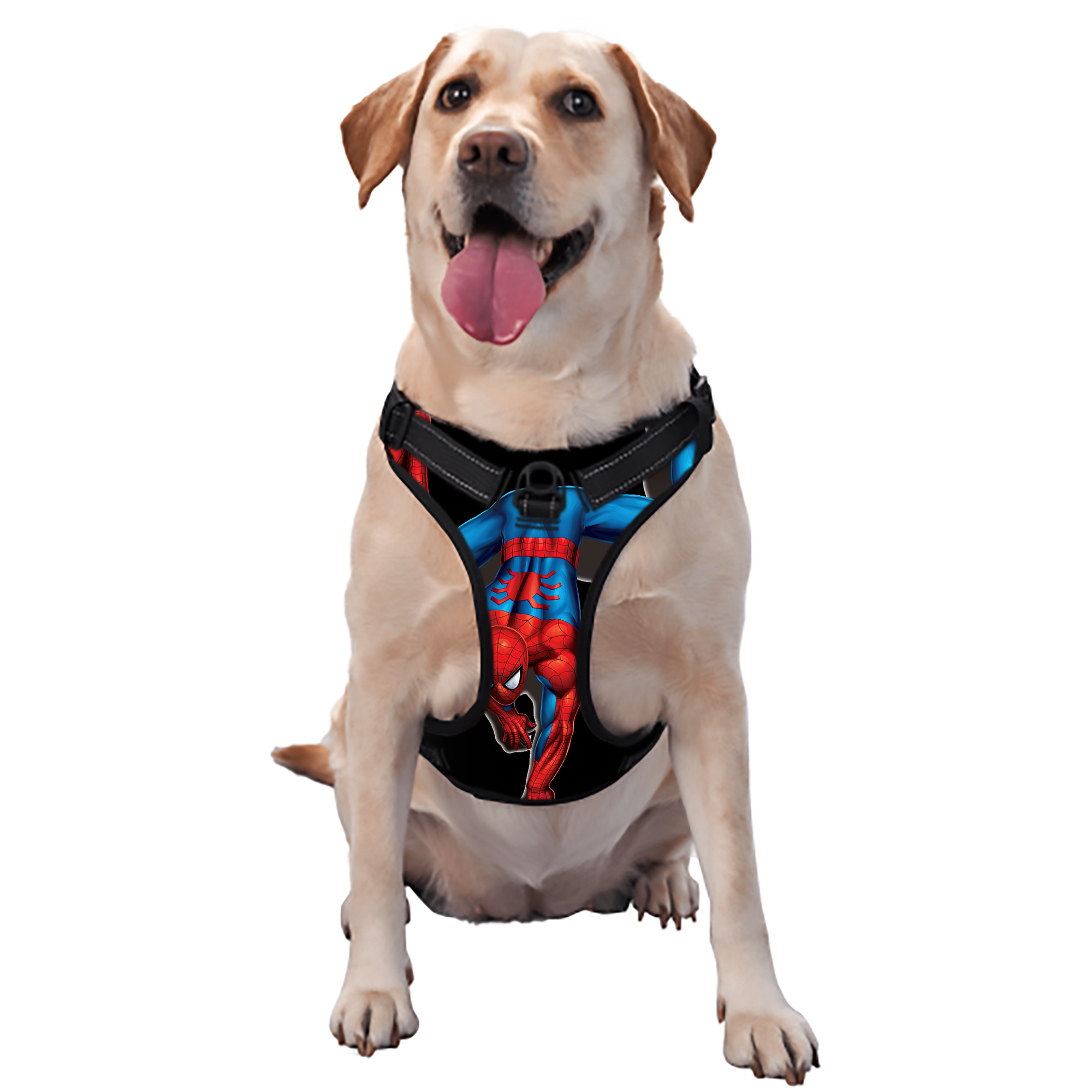 （画像用） Spider Man スパイダーマン ペット用ハーネス